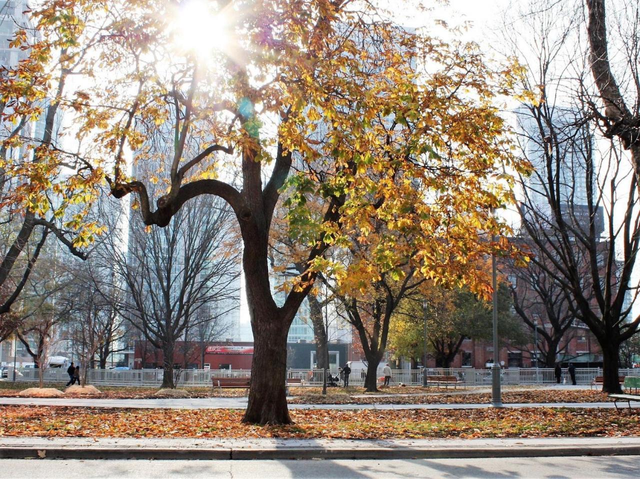 Хостел The Clarence Park Торонто Екстер'єр фото